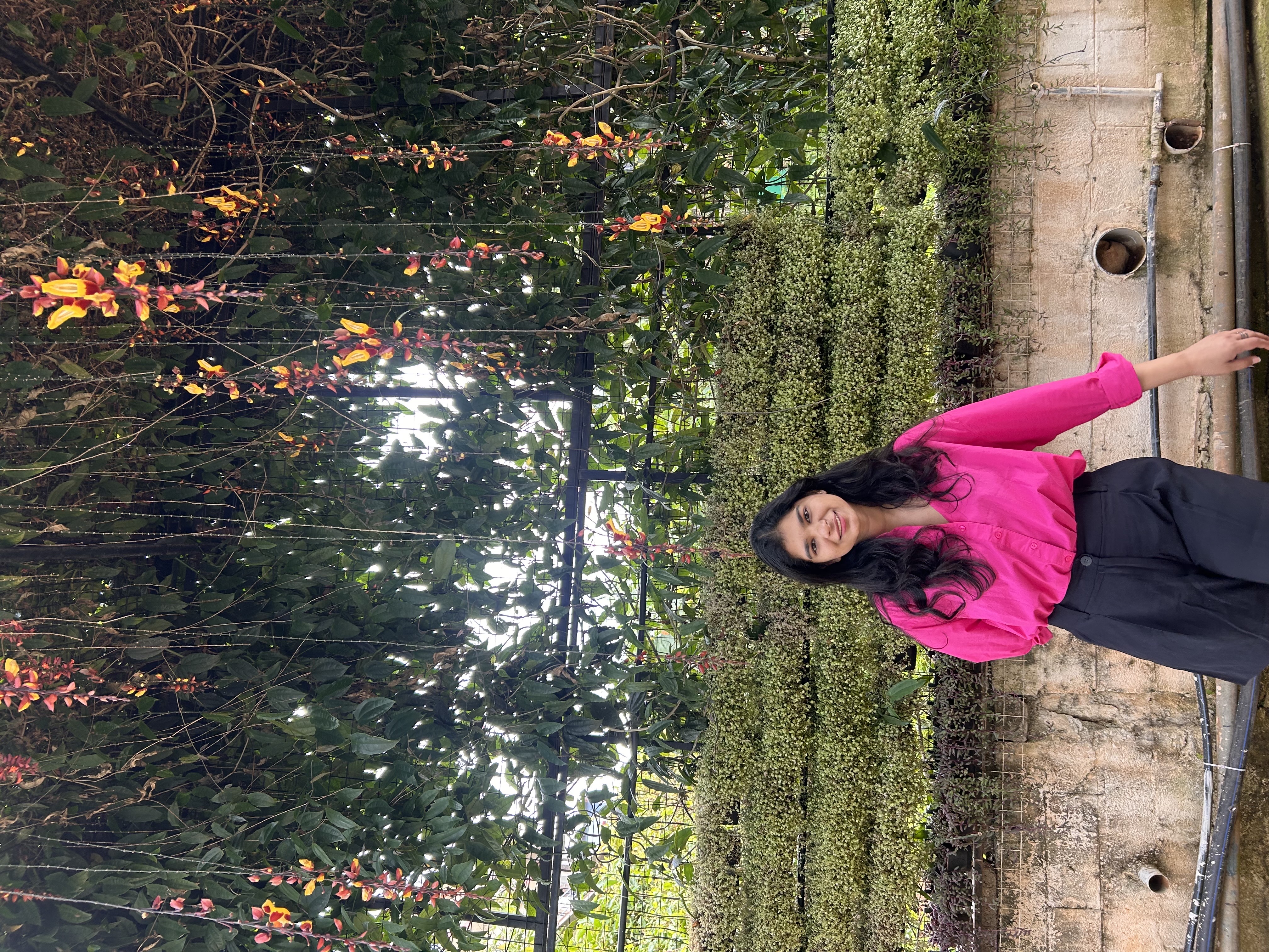 Yukta 